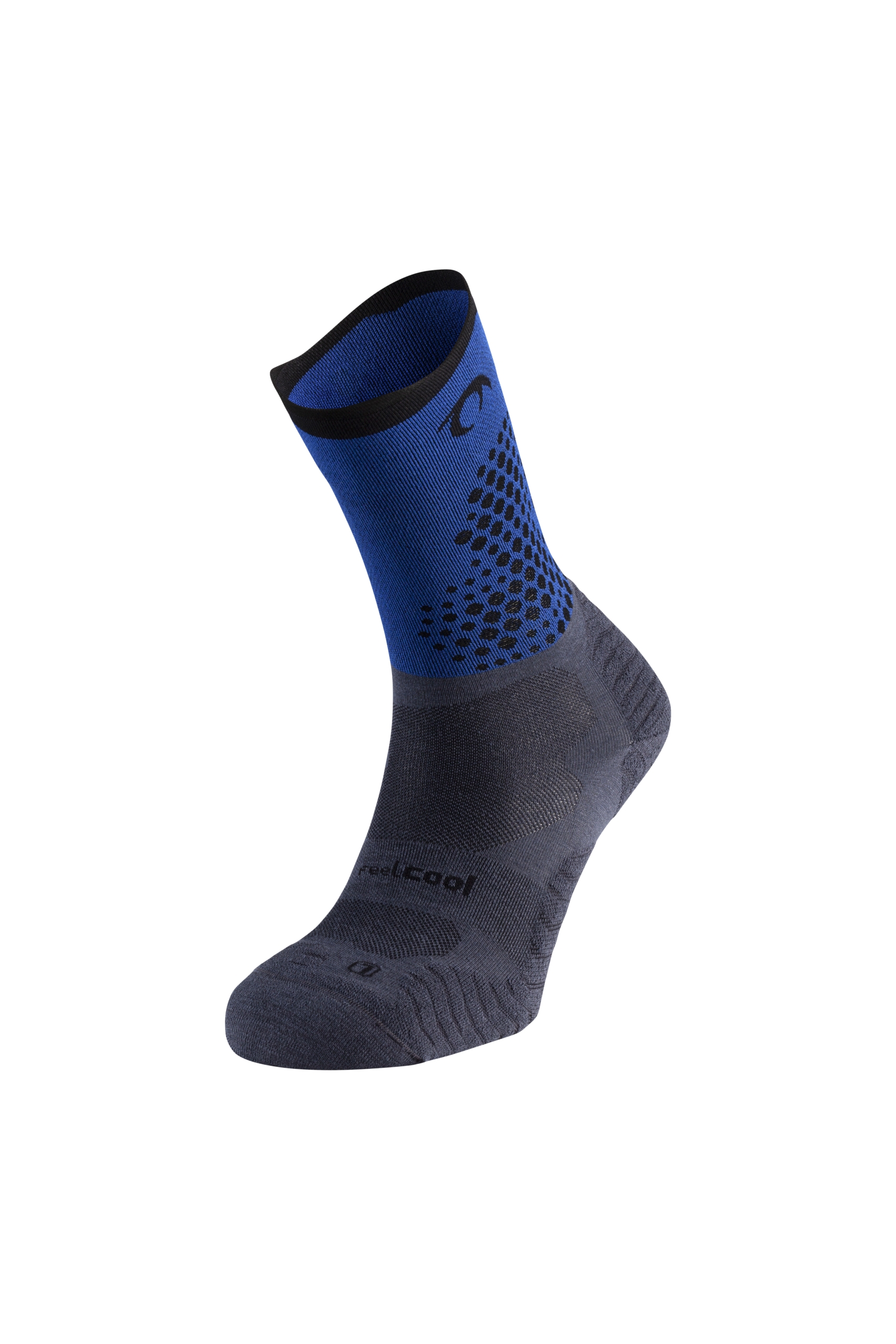 CALSETIN LURBEL RISE FLUX FIVE TR